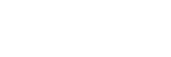 signexxlogo wht art